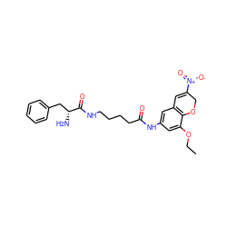 CCOc1cc(NC(=O)CCCCNC(=O)[C@H](N)Cc2ccccc2)cc2c1OCC([N+](=O)[O-])=C2 ZINC001772572105