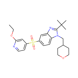 CCOc1cc(S(=O)(=O)c2ccc3c(c2)nc(C(C)(C)C)n3CC2CCOCC2)ccn1 ZINC000029048023