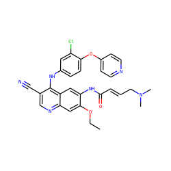 CCOc1cc2ncc(C#N)c(Nc3ccc(Oc4ccncc4)c(Cl)c3)c2cc1NC(=O)/C=C/CN(C)C ZINC000028127107