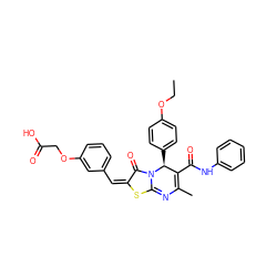 CCOc1ccc([C@H]2C(C(=O)Nc3ccccc3)=C(C)N=c3s/c(=C/c4cccc(OCC(=O)O)c4)c(=O)n32)cc1 ZINC000058993301