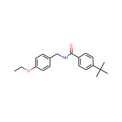 CCOc1ccc(CNC(=O)c2ccc(C(C)(C)C)cc2)cc1 ZINC000013646157