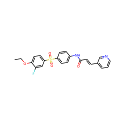 CCOc1ccc(S(=O)(=O)c2ccc(NC(=O)/C=C/c3cccnc3)cc2)cc1F ZINC000142170284