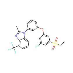 CCS(=O)(=O)c1cc(F)cc(Oc2cccc(-n3c(C)nc4c(C(F)(F)F)cccc43)c2)c1 ZINC000045351811