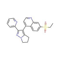 CCS(=O)(=O)c1ccc2c(-c3c(-c4ccccn4)nn4c3CCC4)ccnc2c1 ZINC000027182658