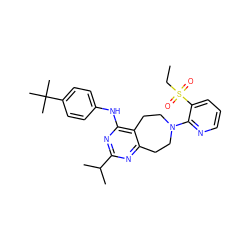 CCS(=O)(=O)c1cccnc1N1CCc2nc(C(C)C)nc(Nc3ccc(C(C)(C)C)cc3)c2CC1 ZINC000169172113