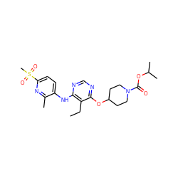 CCc1c(Nc2ccc(S(C)(=O)=O)nc2C)ncnc1OC1CCN(C(=O)OC(C)C)CC1 ZINC000073200584