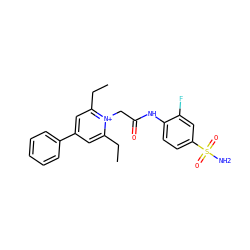 CCc1cc(-c2ccccc2)cc(CC)[n+]1CC(=O)Nc1ccc(S(N)(=O)=O)cc1F ZINC000013804334