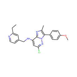 CCc1cc(CNc2cc(Cl)nn3c(-c4ccc(OC)cc4)c(C)nc23)ccn1 ZINC001772571574