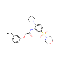 CCc1cccc(OCC(=O)Nc2cc(S(=O)(=O)N3CCOCC3)ccc2N2CCCC2)c1 ZINC000008725867