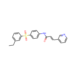 CCc1cccc(S(=O)(=O)c2ccc(NC(=O)/C=C/c3cccnc3)cc2)c1 ZINC000142463172