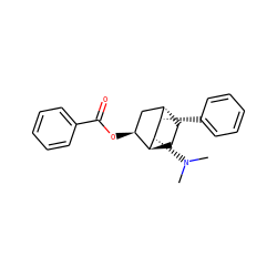 CN(C)[C@@H]1[C@H]2CC[C@@H](C[C@@H]2OC(=O)c2ccccc2)[C@@H]1c1ccccc1 ZINC000169373206