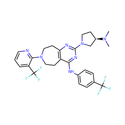 CN(C)[C@@H]1CCN(c2nc3c(c(Nc4ccc(C(F)(F)F)cc4)n2)CCN(c2ncccc2C(F)(F)F)CC3)C1 ZINC000066252097