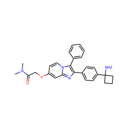 CN(C)C(=O)COc1ccn2c(-c3ccccc3)c(-c3ccc(C4(N)CCC4)cc3)nc2c1 ZINC000224714377