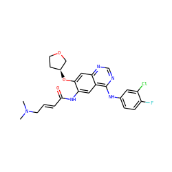 CN(C)C/C=C/C(=O)Nc1cc2c(Nc3ccc(F)c(Cl)c3)ncnc2cc1O[C@H]1CCOC1 ZINC000003976838