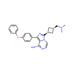 CN(C)C[C@H]1C[C@@H](c2nc(-c3ccc(Oc4ccccc4)cc3)c3c(N)nccn32)C1 ZINC000100619006