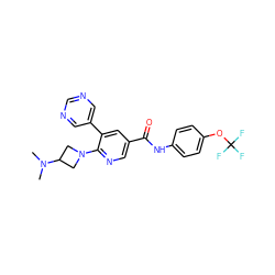 CN(C)C1CN(c2ncc(C(=O)Nc3ccc(OC(F)(F)F)cc3)cc2-c2cncnc2)C1 ZINC001772625859