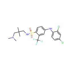 CN(C)CC(C)(C)CNS(=O)(=O)c1ccc(Nc2ccc(Cl)cc2Cl)cc1C(F)(F)F ZINC000144287182