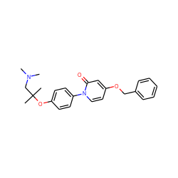 CN(C)CC(C)(C)Oc1ccc(-n2ccc(OCc3ccccc3)cc2=O)cc1 ZINC000066260200