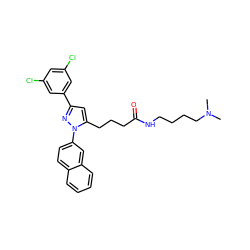 CN(C)CCCCNC(=O)CCCc1cc(-c2cc(Cl)cc(Cl)c2)nn1-c1ccc2ccccc2c1 ZINC000028887187