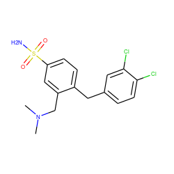 CN(C)Cc1cc(S(N)(=O)=O)ccc1Cc1ccc(Cl)c(Cl)c1 ZINC000040935887