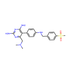 CN(C)Cc1nc(N)nc(N)c1-c1ccc(NCc2ccc(S(C)(=O)=O)cc2)cc1 ZINC000028572377