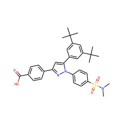 CN(C)S(=O)(=O)c1ccc(-n2nc(-c3ccc(C(=O)O)cc3)cc2-c2cc(C(C)(C)C)cc(C(C)(C)C)c2)cc1 ZINC000220547628