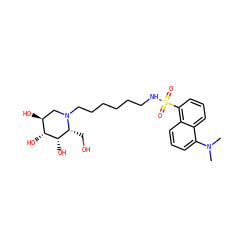 CN(C)c1cccc2c(S(=O)(=O)NCCCCCCN3C[C@H](O)[C@@H](O)[C@@H](O)[C@H]3CO)cccc12 ZINC000028572593