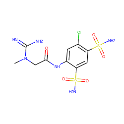 CN(CC(=O)Nc1cc(Cl)c(S(N)(=O)=O)cc1S(N)(=O)=O)C(=N)N ZINC000013800579