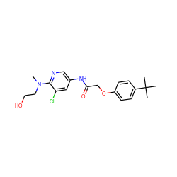 CN(CCO)c1ncc(NC(=O)COc2ccc(C(C)(C)C)cc2)cc1Cl ZINC000096270031