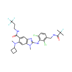 CN(c1cc2c(cc1C(=O)NCCC(F)(F)F)nc(Nc1c(Cl)ccc(CNC(=O)C(C)(C)F)c1Cl)n2C)C1CCC1 ZINC000169701028