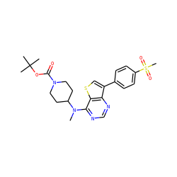 CN(c1ncnc2c(-c3ccc(S(C)(=O)=O)cc3)csc12)C1CCN(C(=O)OC(C)(C)C)CC1 ZINC000204002841