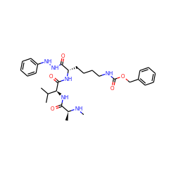 CN[C@@H](C)C(=O)N[C@H](C(=O)N[C@@H](CCCCNC(=O)OCc1ccccc1)C(=O)NNc1ccccc1)C(C)C ZINC000064705102