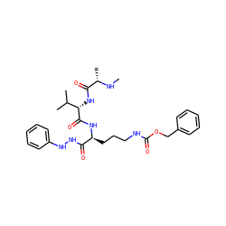 CN[C@@H](C)C(=O)N[C@H](C(=O)N[C@@H](CCCNC(=O)OCc1ccccc1)C(=O)NNc1ccccc1)C(C)C ZINC000064576420