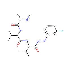 CN[C@@H](C)C(=O)N[C@H](C(=O)N[C@H](C(=O)NNc1cccc(F)c1)C(C)C)C(C)C ZINC000064597001