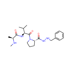 CN[C@@H](C)C(=O)N[C@H](C(=O)N1CCC[C@H]1C(=O)NNCc1ccccc1)C(C)C ZINC000064596870