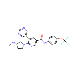 CN[C@H]1CCN(c2ncc(C(=O)Nc3ccc(OC(F)(F)F)cc3)cc2-c2cncnc2)C1 ZINC000224416192