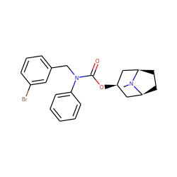 CN1[C@H]2CC[C@@H]1C[C@H](OC(=O)N(Cc1cccc(Br)c1)c1ccccc1)C2 ZINC000101152174