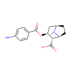 CN1[C@H]2CC[C@@H]1C[C@H](OC(=O)c1ccc(N)cc1)[C@H]2C(=O)O ZINC000036177501