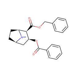 CN1[C@H]2CC[C@@H]1C[C@H](OC(=O)c1ccccc1)[C@@H]2C(=O)OCc1ccccc1 ZINC000029203085