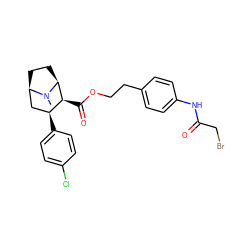 CN1[C@H]2CC[C@@H]1C[C@H](c1ccc(Cl)cc1)[C@@H]2C(=O)OCCc1ccc(NC(=O)CBr)cc1 ZINC000056727912