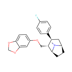 CN1[C@H]2CC[C@@H]1C[C@H](c1ccc(F)cc1)[C@H]2COc1ccc2c(c1)OCO2 ZINC000013776988