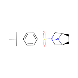 CN1[C@H]2CC[C@@H]1CN(S(=O)(=O)c1ccc(C(C)(C)C)cc1)C2 ZINC000087690223