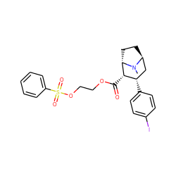 CN1[C@H]2CC[C@H]1[C@@H](C(=O)OCCOS(=O)(=O)c1ccccc1)[C@@H](c1ccc(I)cc1)C2 ZINC000261093711