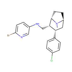 CN1[C@H]2CC[C@H]1[C@@H](CNc1ccc(Br)nc1)[C@@H](c1ccc(Cl)cc1)C2 ZINC000261086616