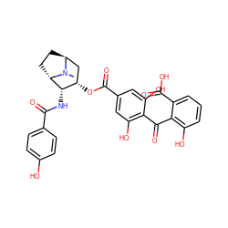 CN1[C@H]2CC[C@H]1[C@@H](NC(=O)c1ccc(O)cc1)[C@@H](OC(=O)c1cc(O)c(C(=O)c3c(O)cccc3C(=O)O)c(O)c1)C2 ZINC000253697153