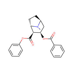 CN1[C@H]2CC[C@H]1[C@H](C(=O)Oc1ccccc1)[C@H](OC(=O)c1ccccc1)C2 ZINC000169358679