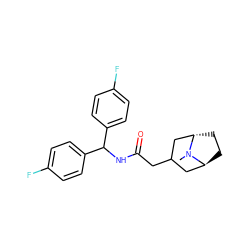 CN1[C@H]2CC[C@H]1CC(CC(=O)NC(c1ccc(F)cc1)c1ccc(F)cc1)C2 ZINC000100897298