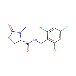 CN1C(=O)NC[C@H]1C(=O)NCc1c(Cl)cc(Cl)cc1Cl ZINC000095565597