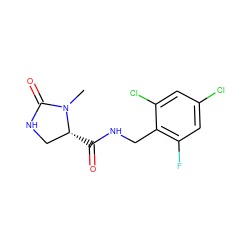 CN1C(=O)NC[C@H]1C(=O)NCc1c(F)cc(Cl)cc1Cl ZINC000095565343