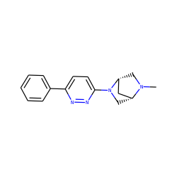 CN1C[C@@H]2C[C@H]1CN2c1ccc(-c2ccccc2)nn1 ZINC000000025856